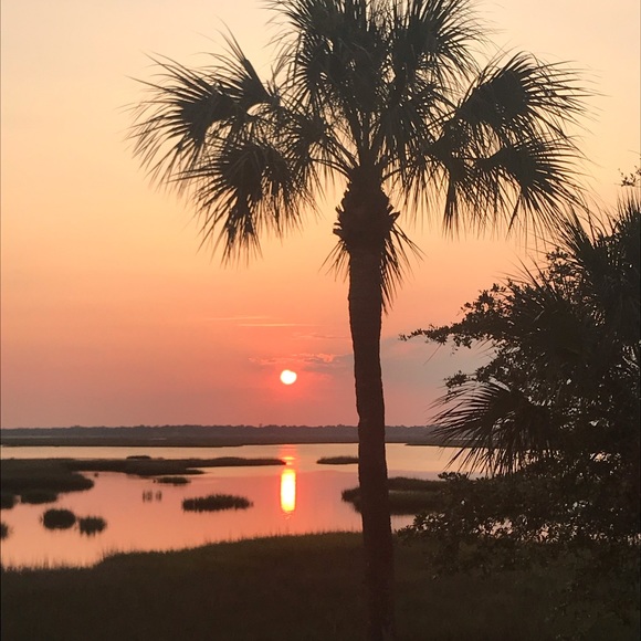 Meet your Posher, Sapelo Scallywags - Picture 7 of 8